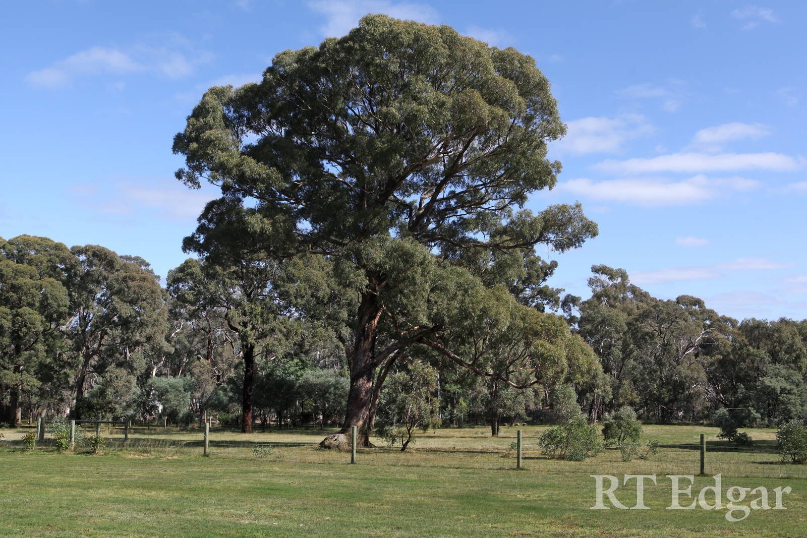 Property Gallery Thumbnail 20
