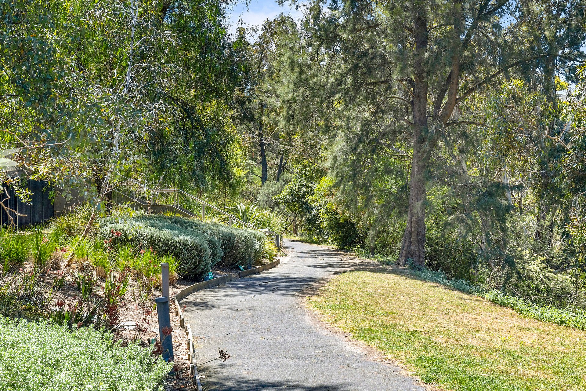 6LG/4 Acacia Place, Abbotsford image 12