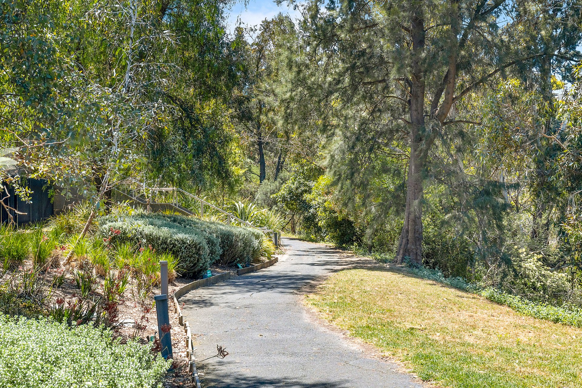 6LG/4 Acacia Place, Abbotsford image 12