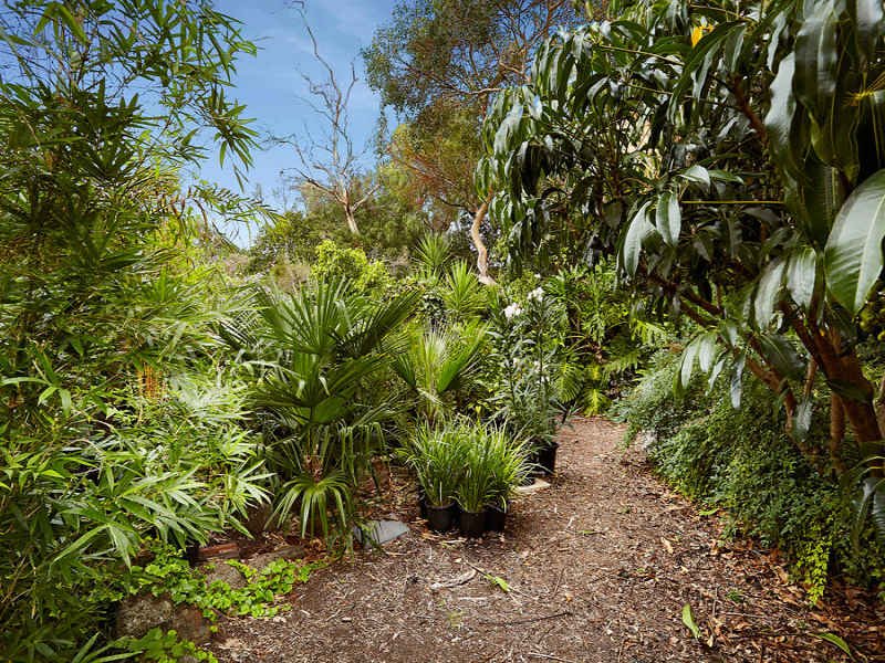 7 Airlie Street, Brighton image 6