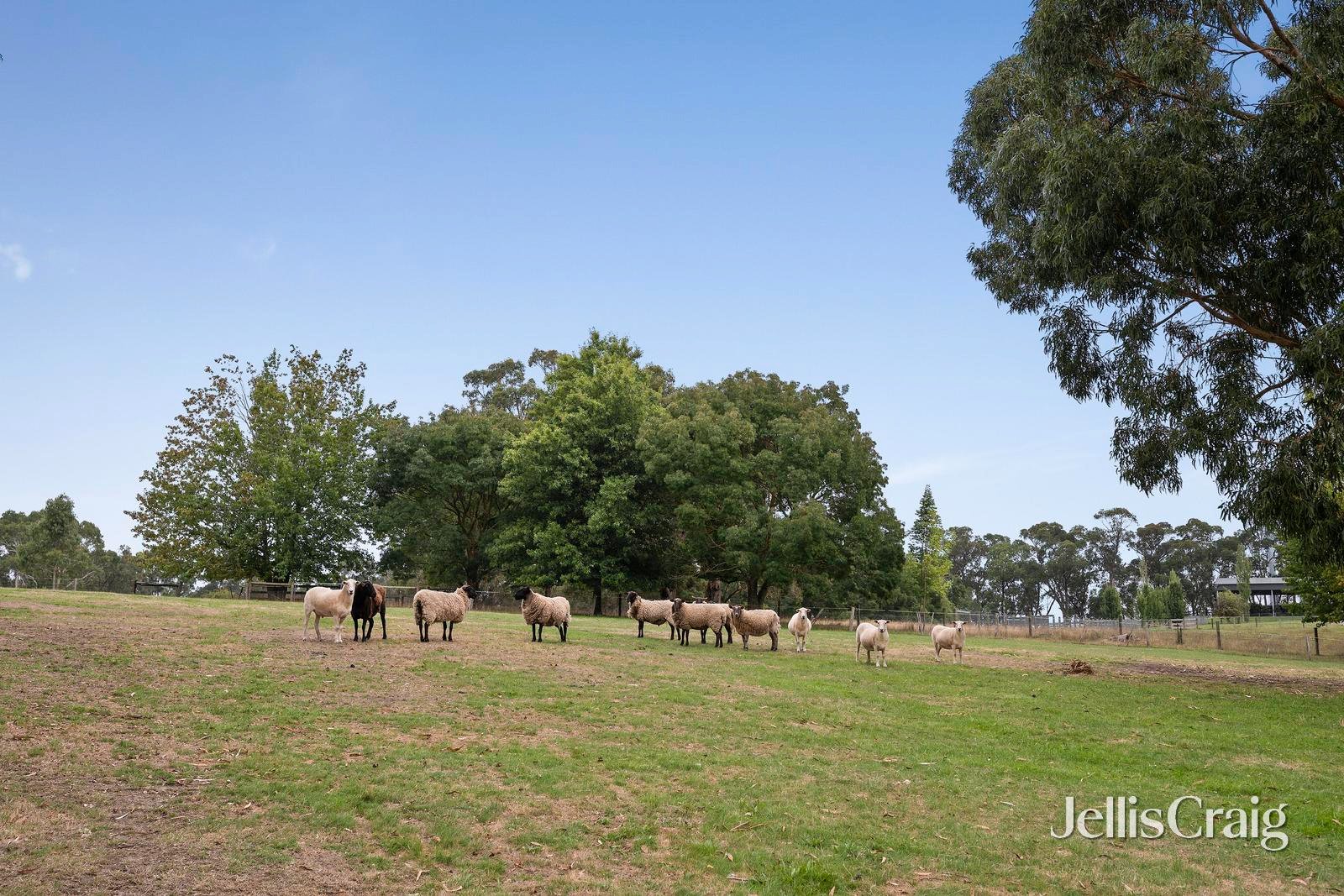 7 Boundary Road, Lilydale image 22