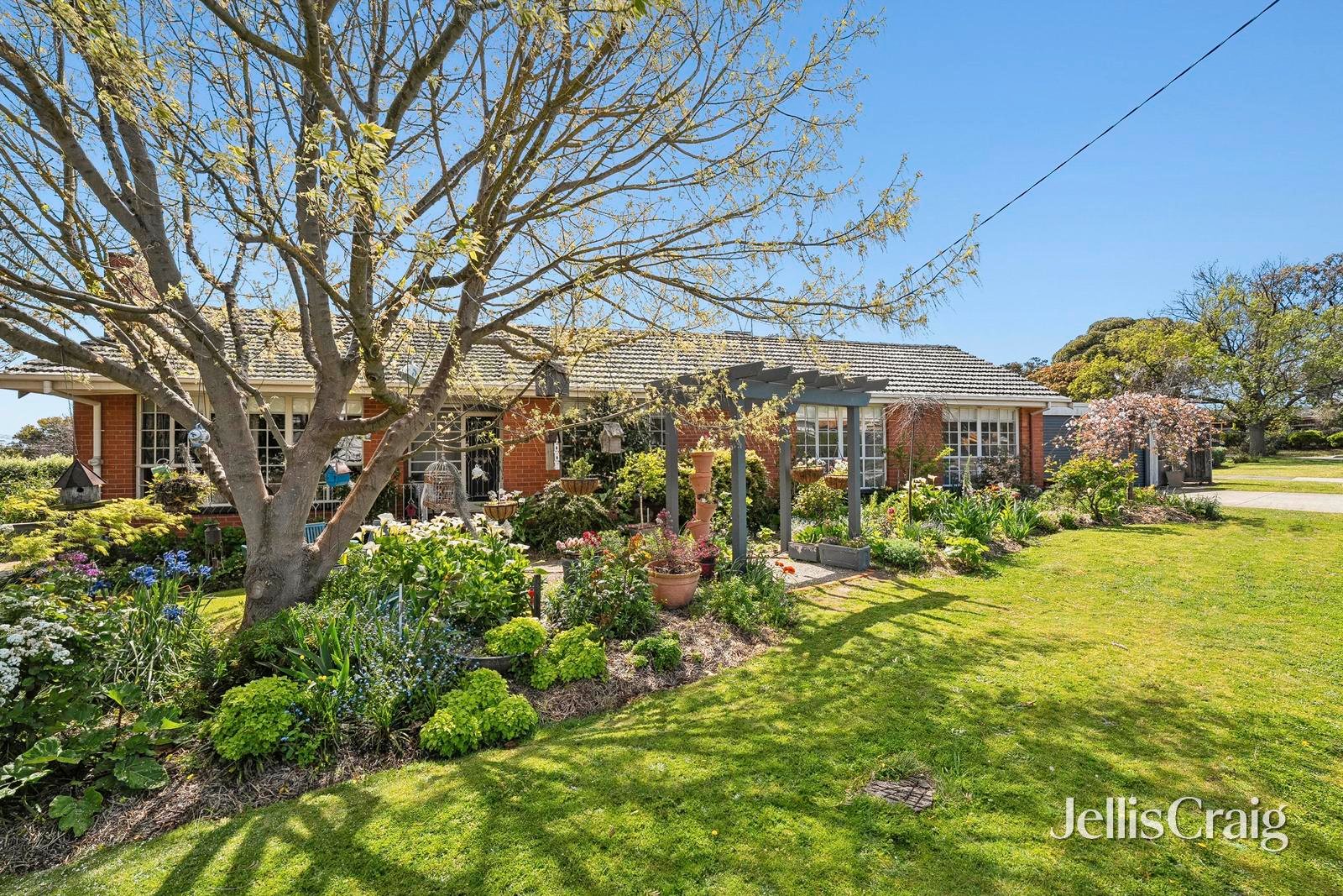 7 Brocka Avenue, Belmont image 1