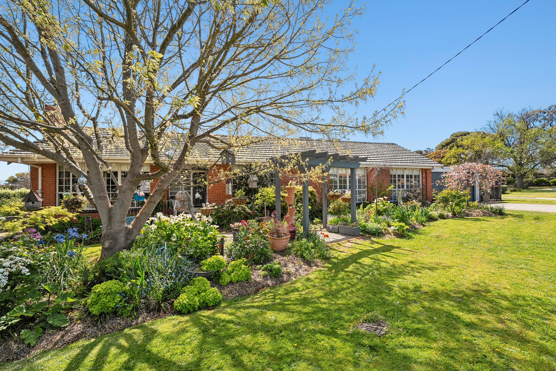 7 Brocka Avenue, Belmont image 2