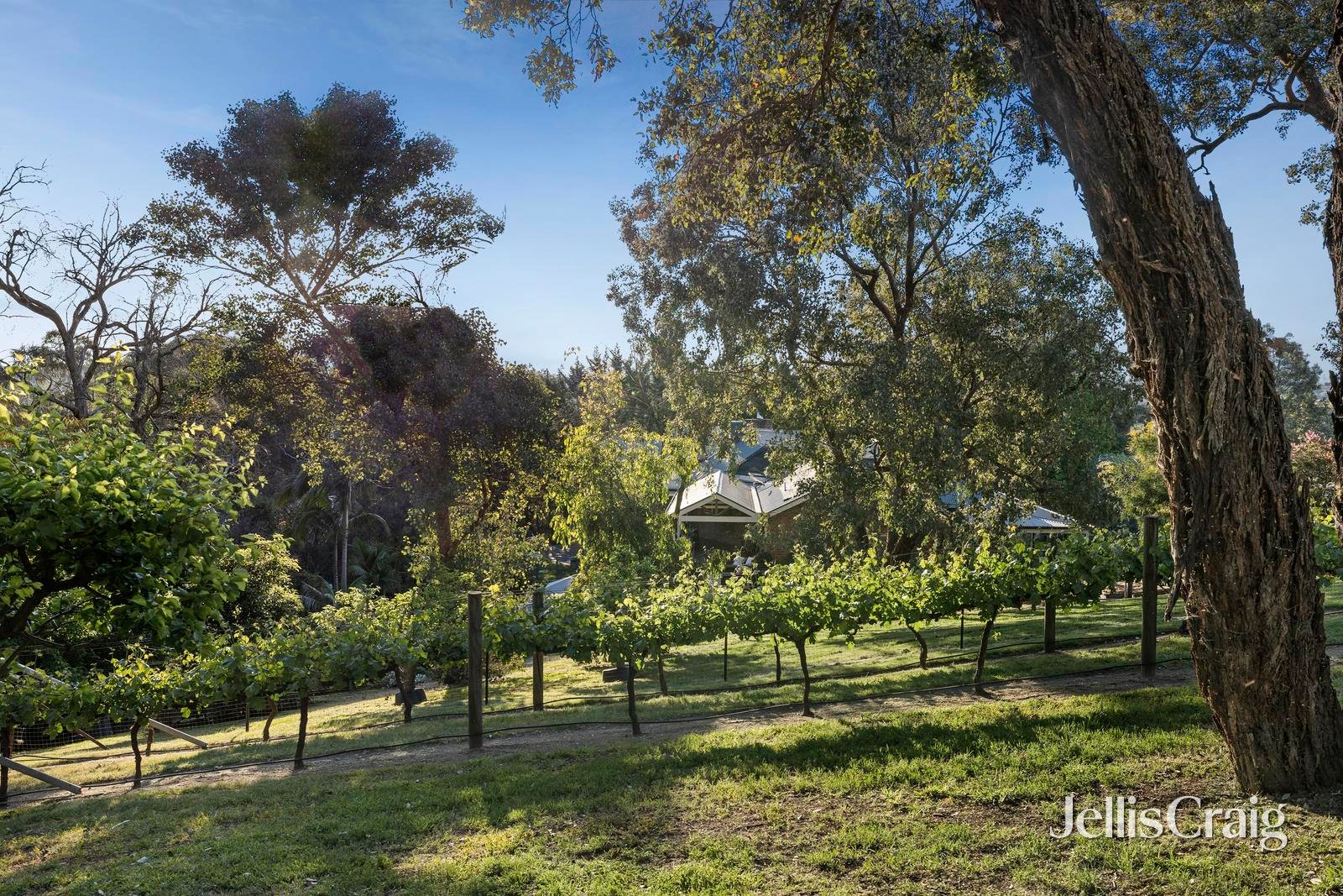 7 Fasan Rise, Warrandyte&nbsp;South image 22