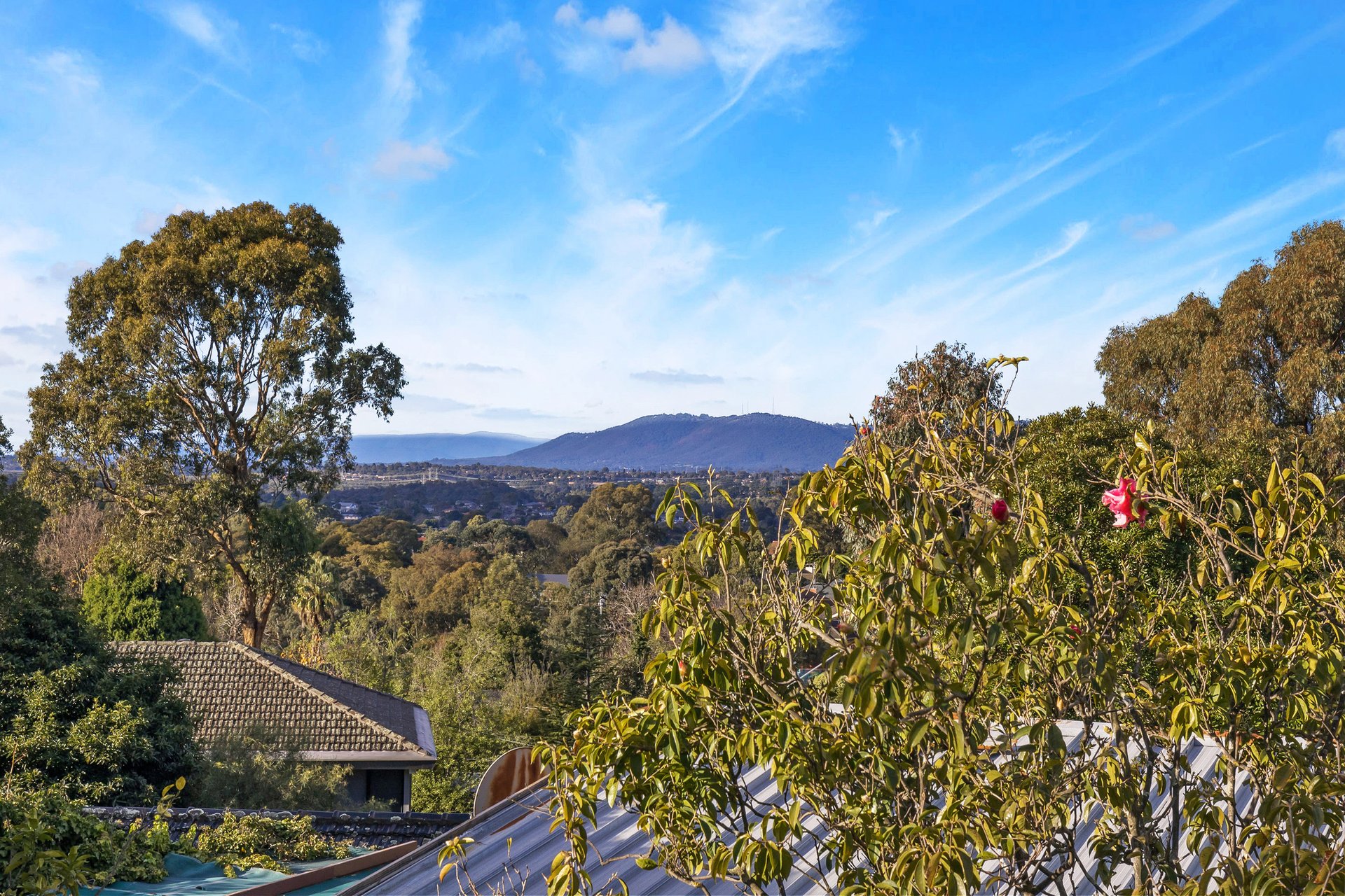 7 Fran Court, Glen Waverley image 9