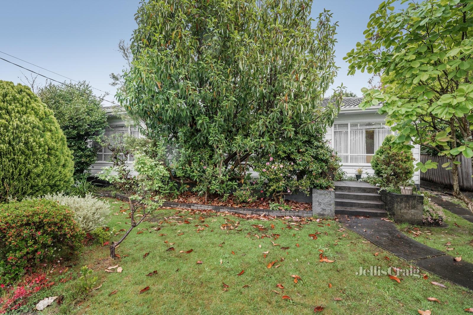 7 Francis Street, Mount Waverley image 2