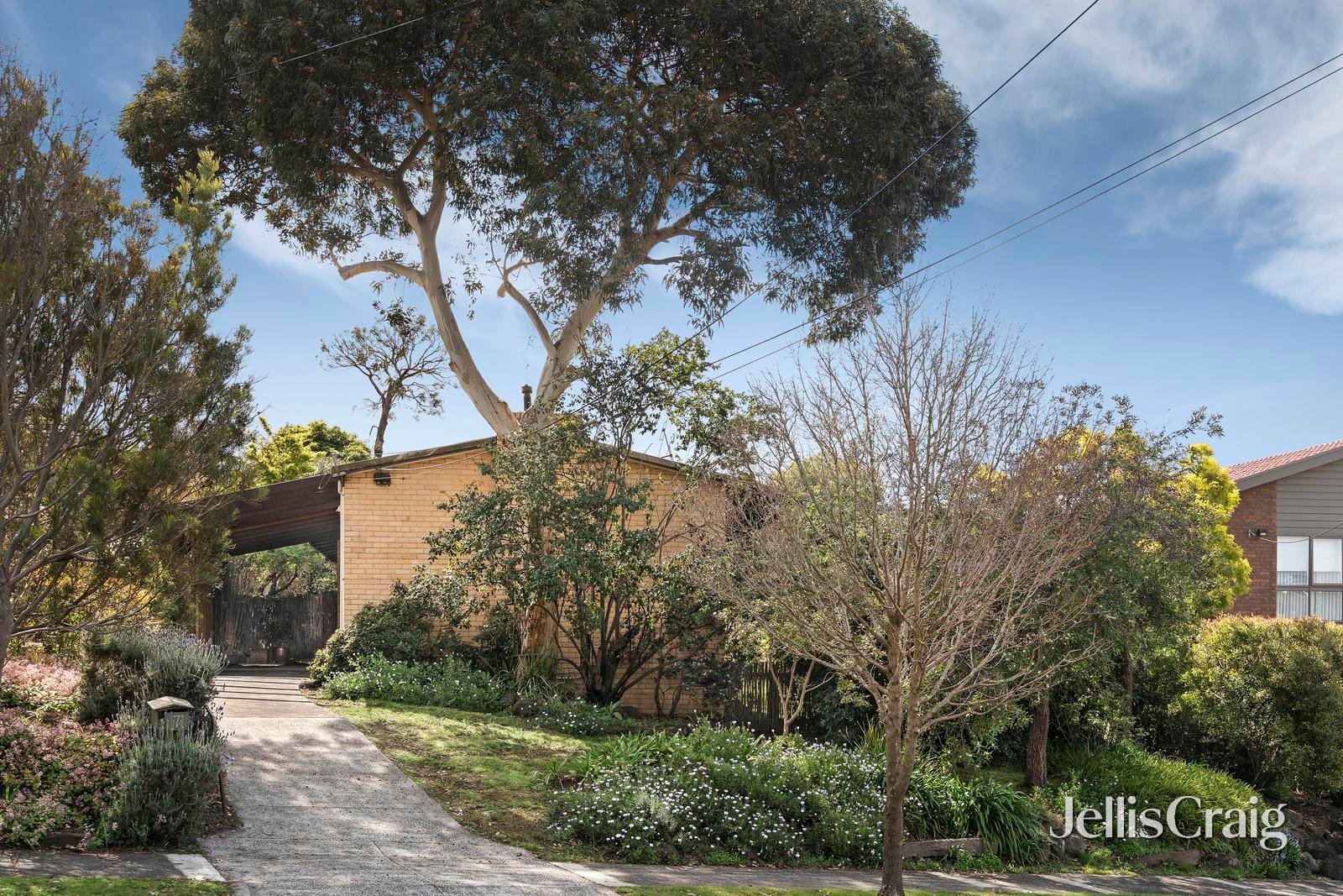 7 Greenwood Street, Doncaster image 2