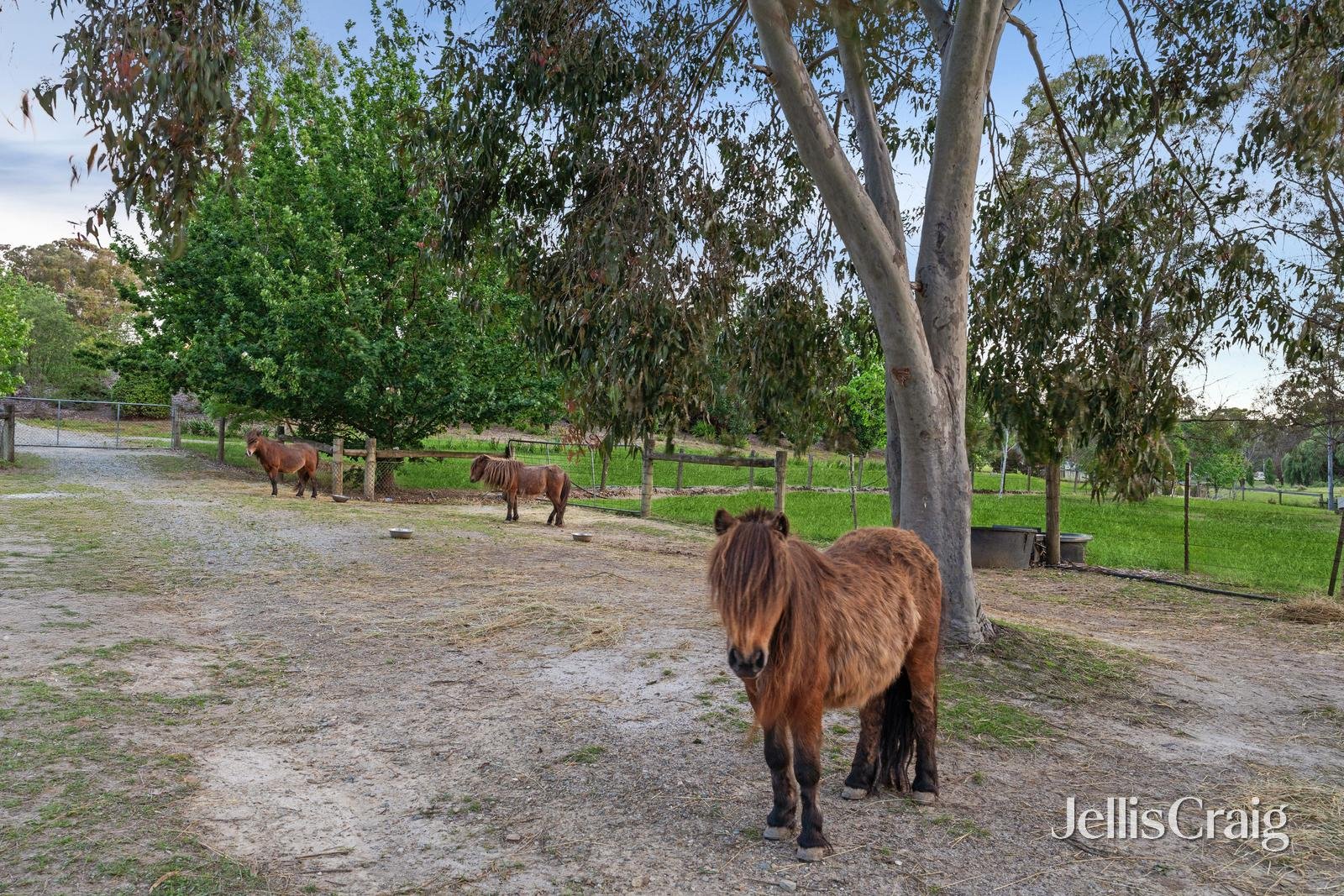 7 Honeysuckle Way, Chirnside&nbsp;Park image 18
