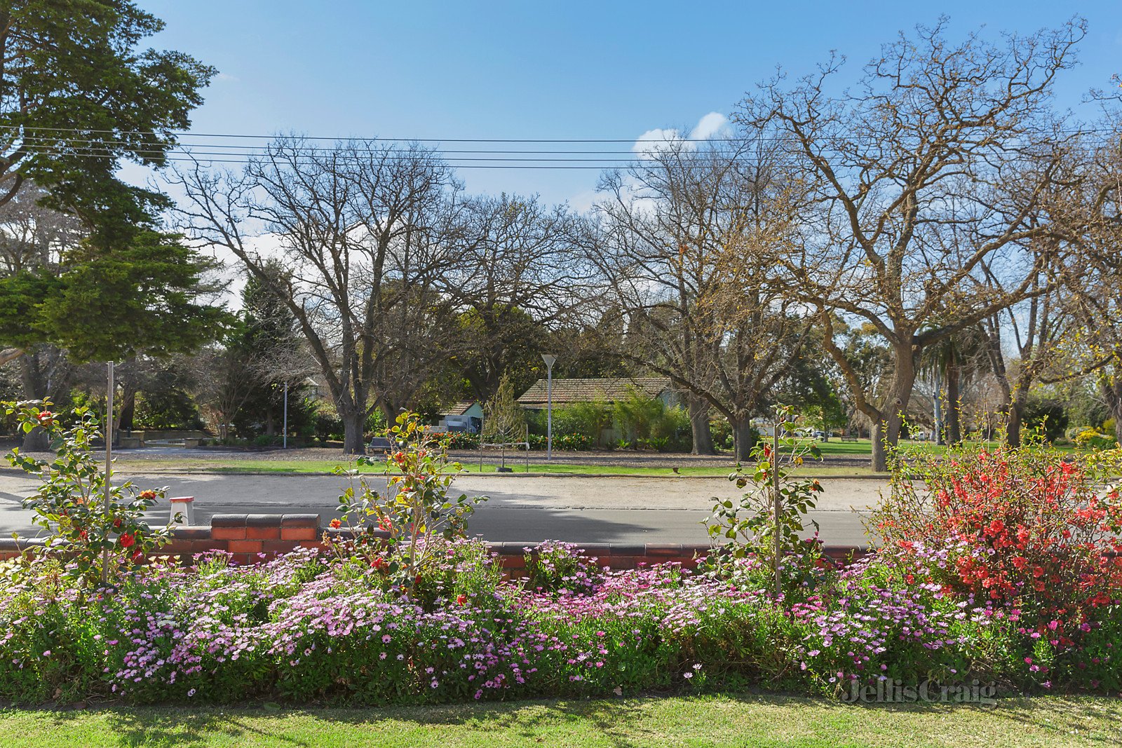 7 Kingston Street, Malvern East image 11