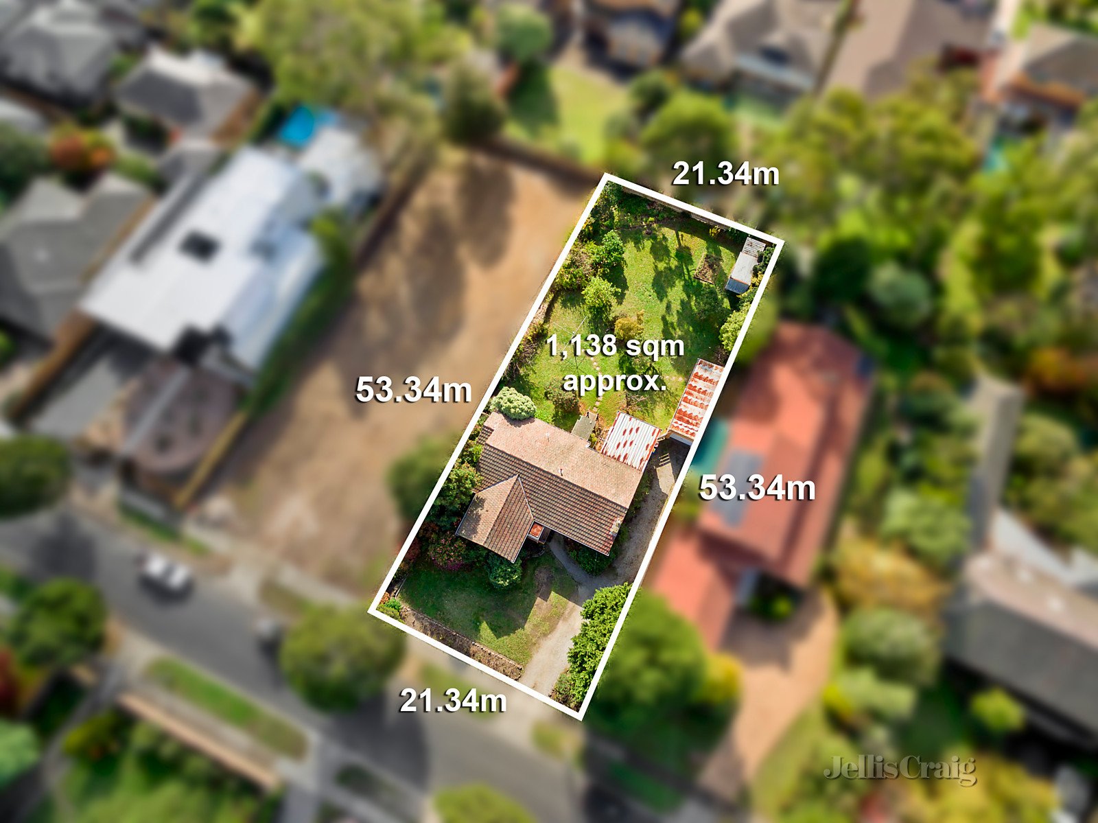 7 Lemon Road, Balwyn North image 7