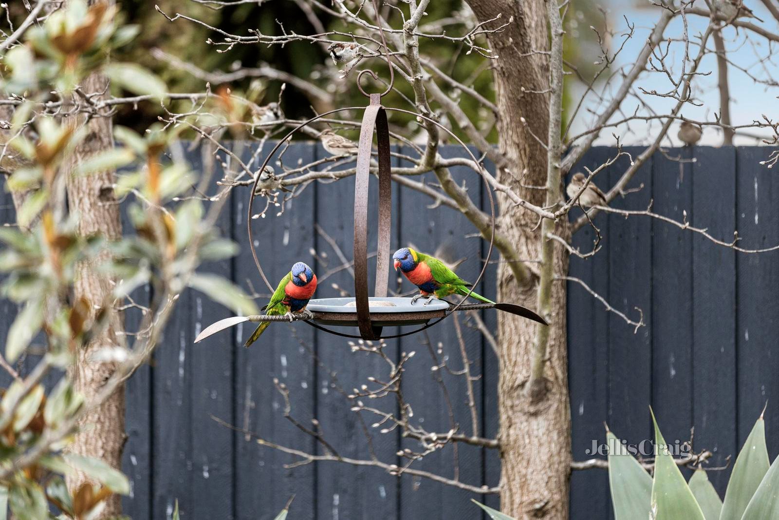 7 Lorikeet Court, Leopold image 20