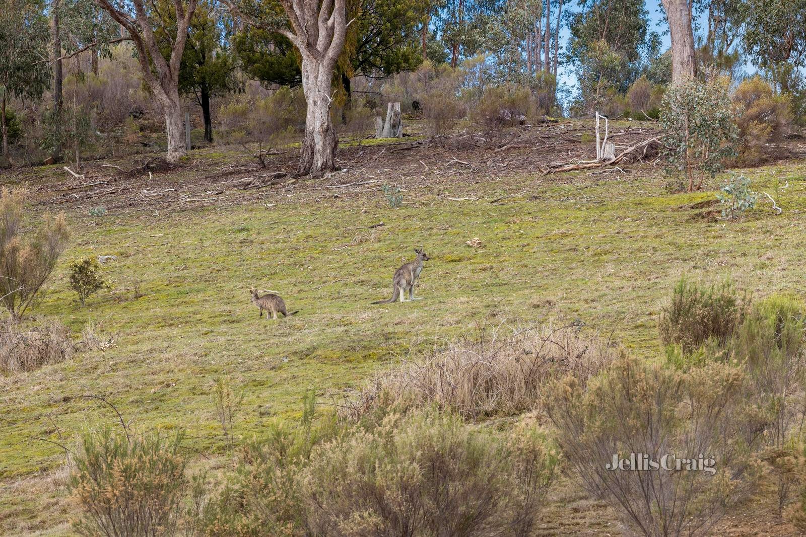 7 McCay Reservoir Road, Chewton image 21