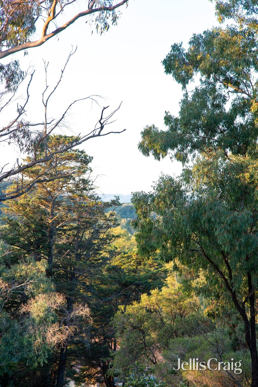 7 Melissa Close, Hurstbridge image 2