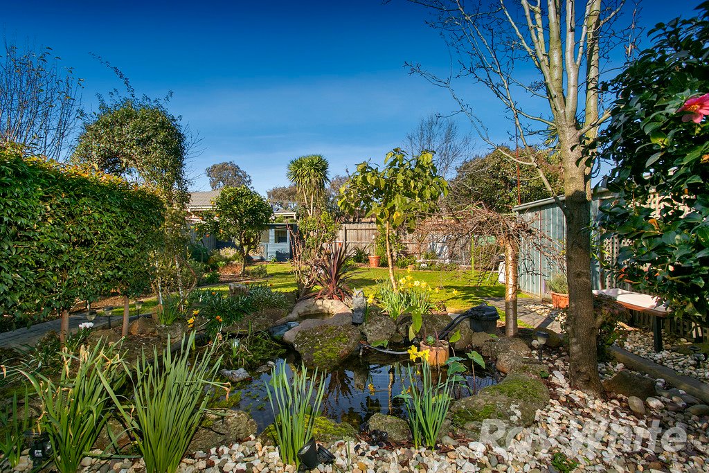 7 Pamela Court, Scoresby image 9