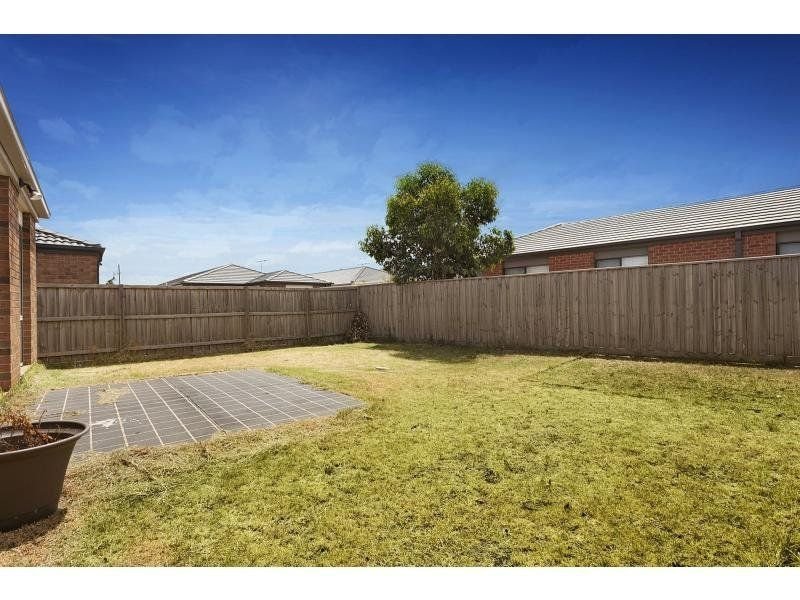 7 Paulo Street, Tarneit image 6