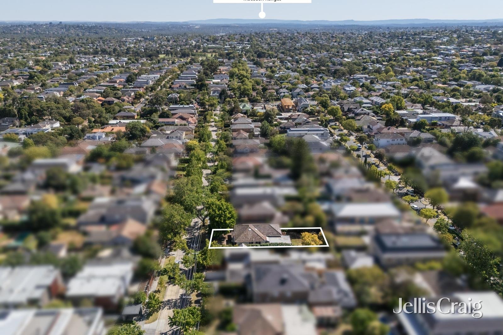 7 Percy Street, Balwyn image 3