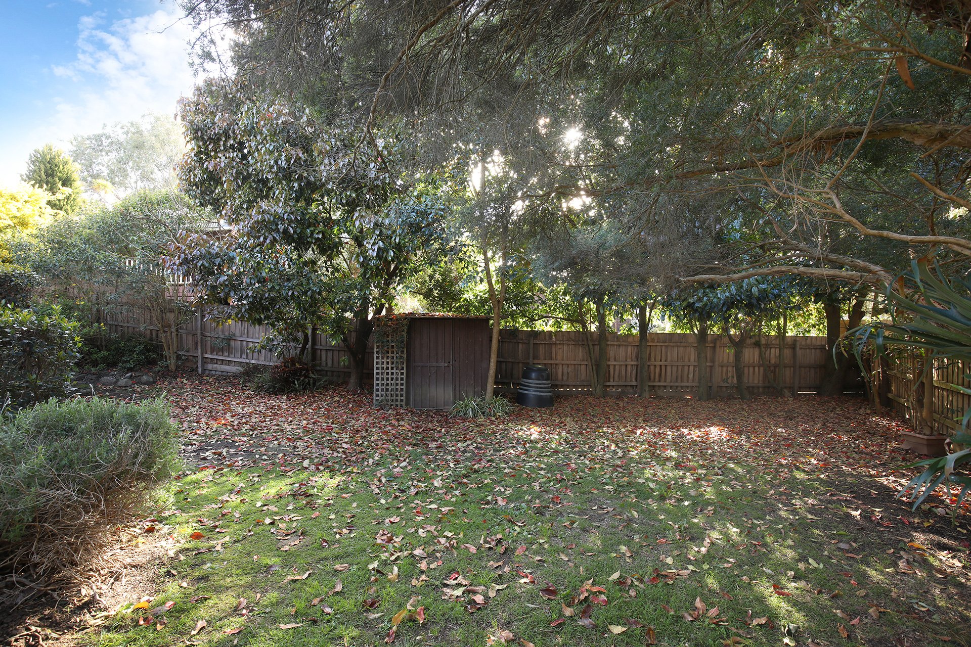 7 Stephanie Court, Macleod image 8