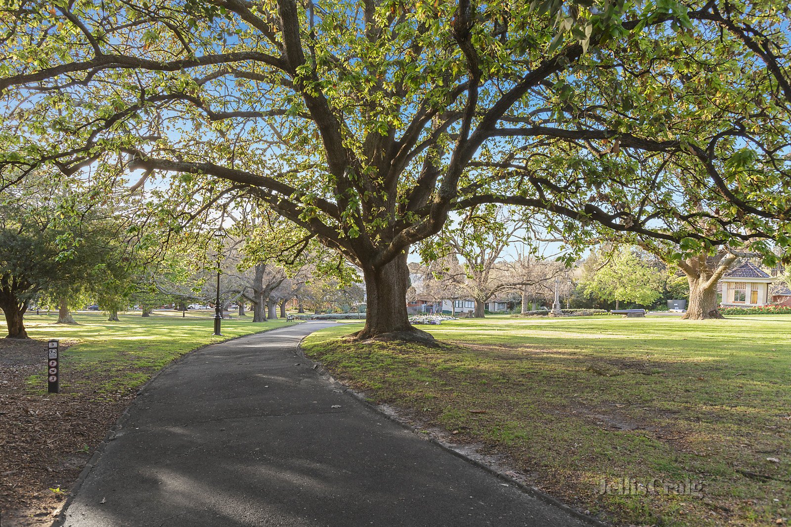 7 Sythney Court, Surrey Hills image 10