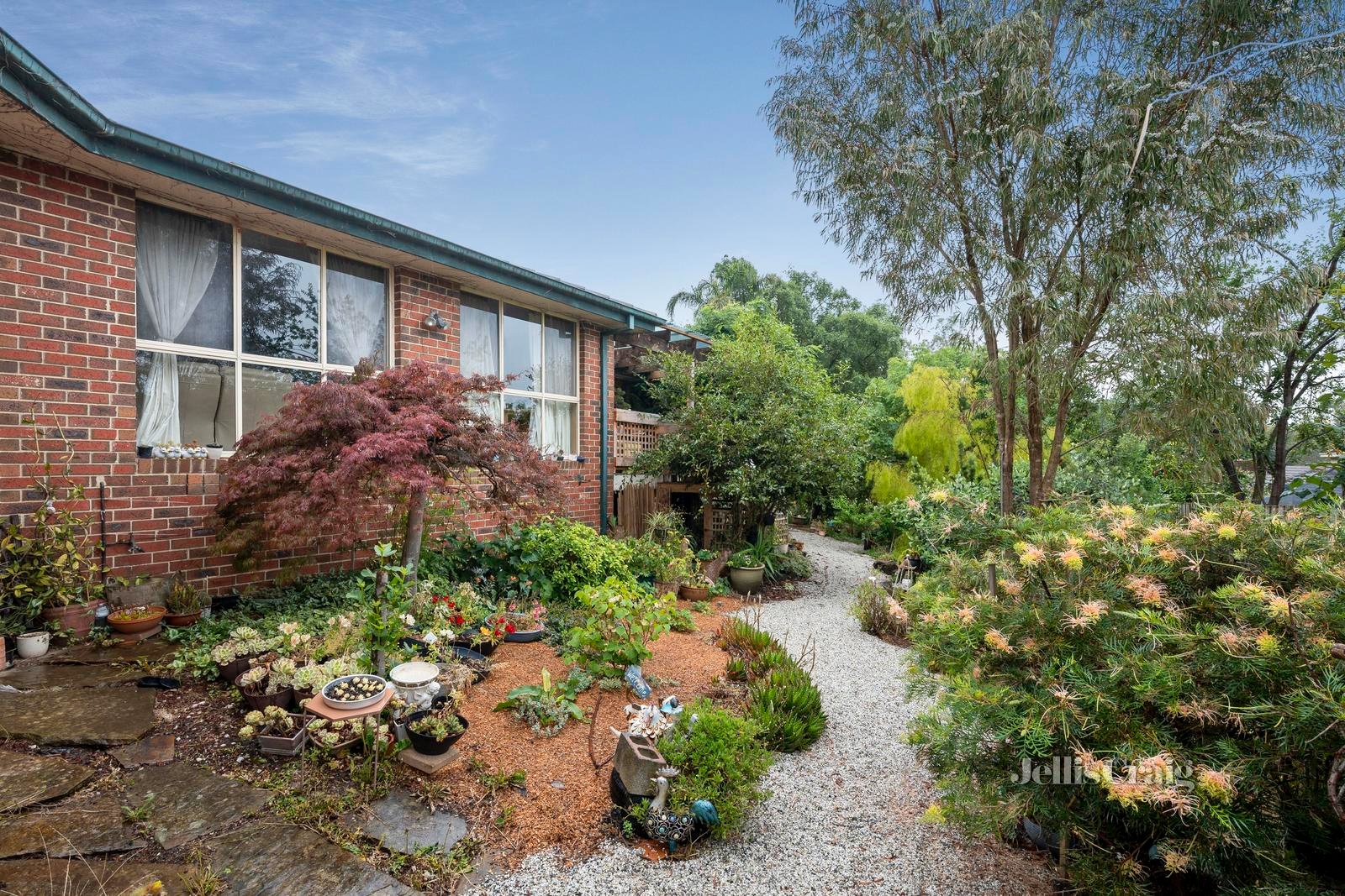 7 The Circuit, Lilydale image 10