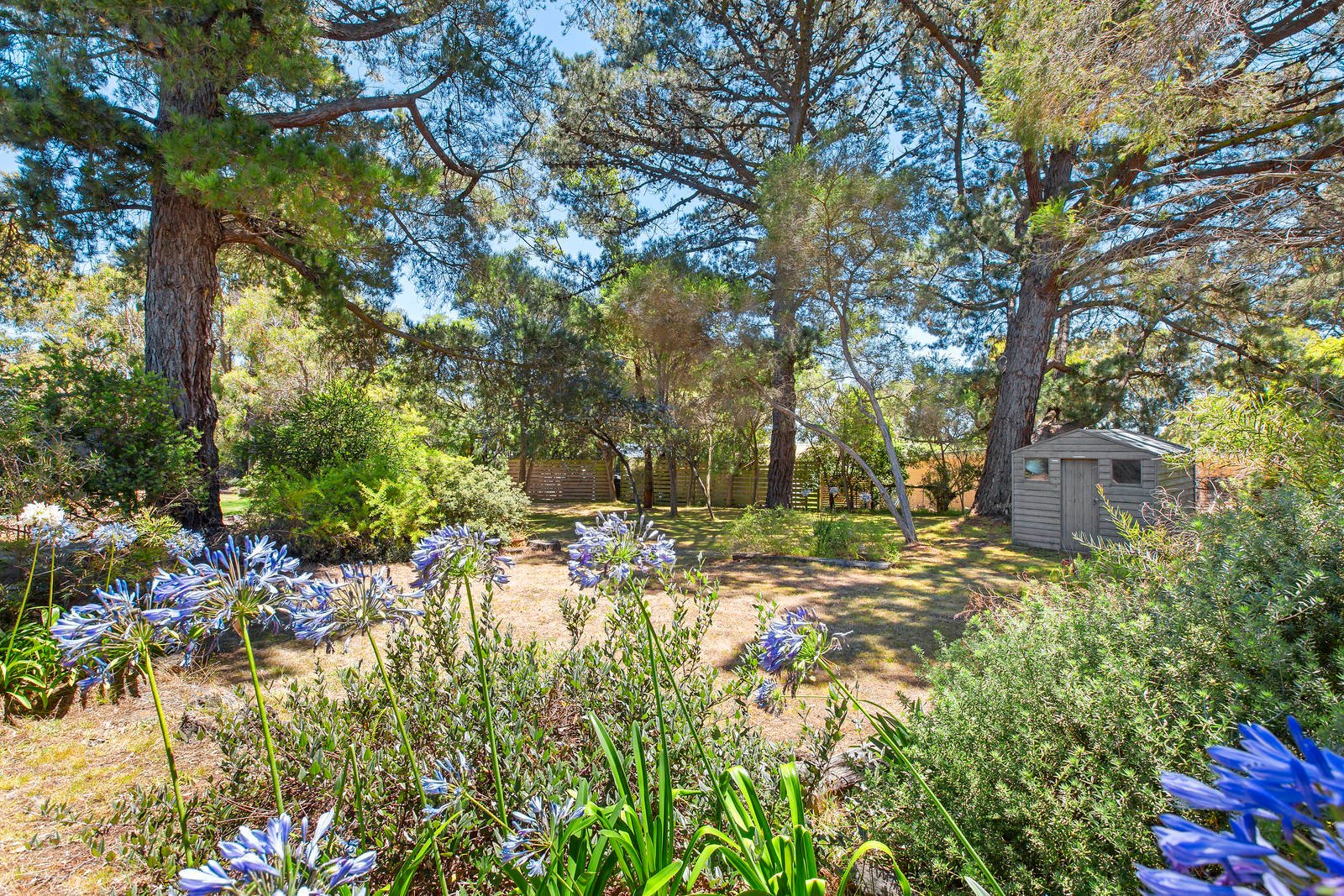 Property Gallery Thumbnail 2