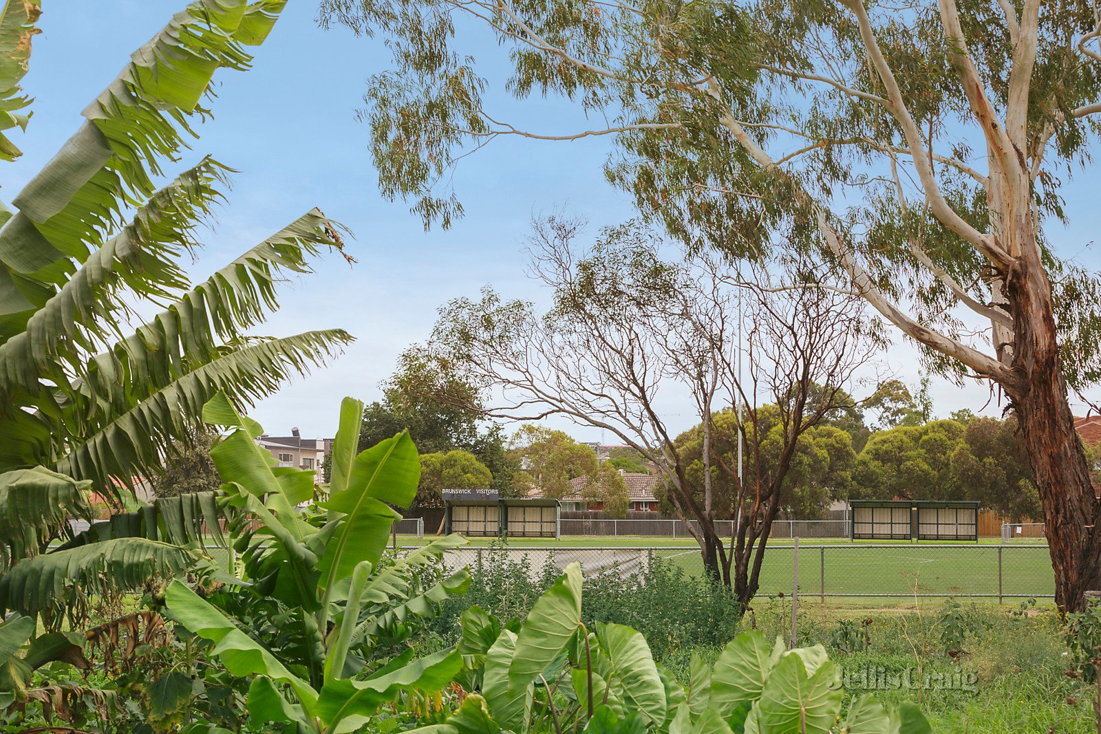 7 Wales Street, Brunswick West image 10