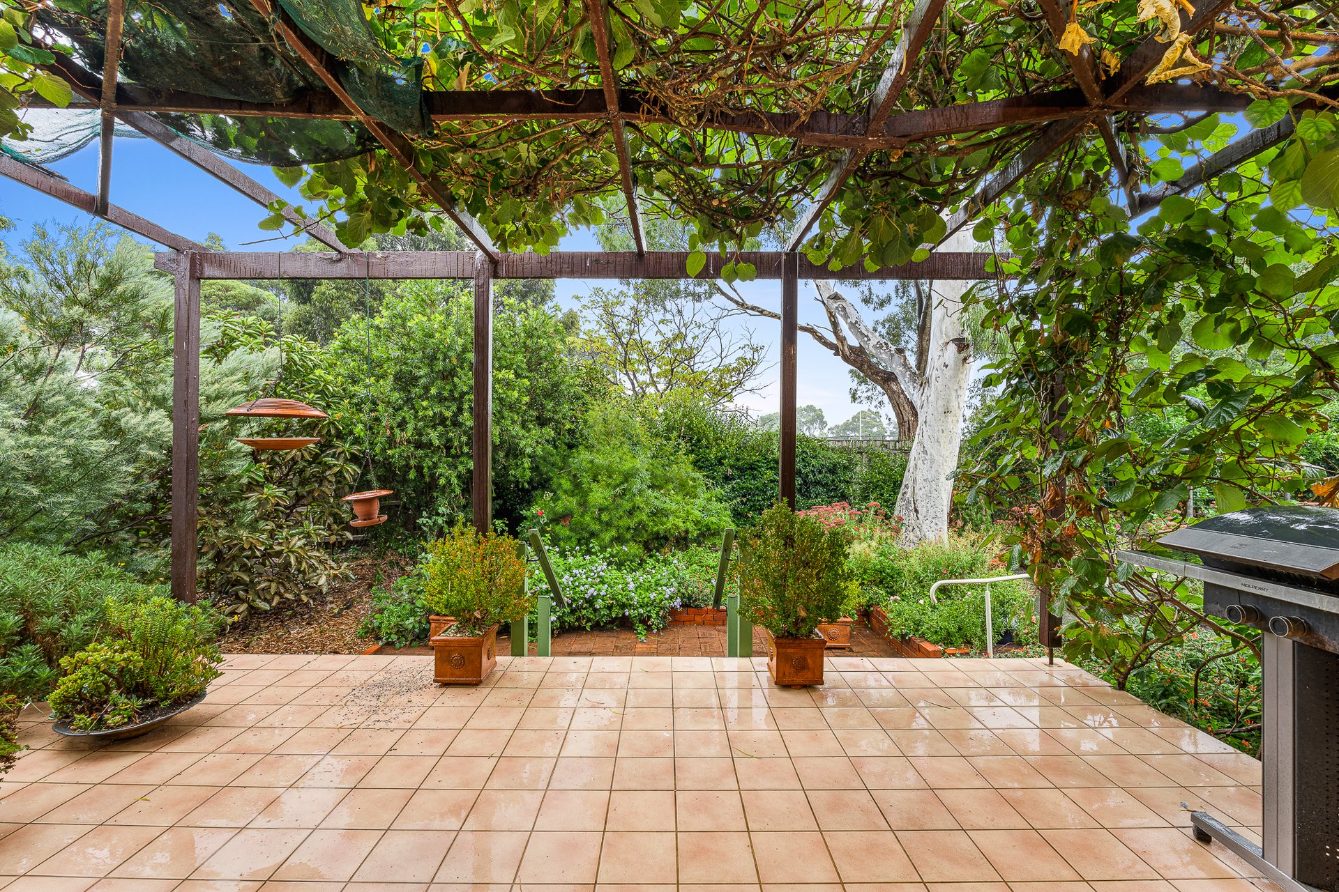 7 Wallabah Street, Mount&nbsp;Waverley image 10