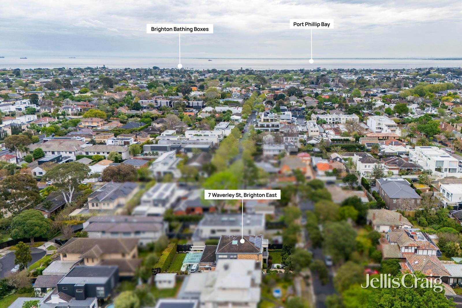 7 Waverley Street, Brighton&nbsp;East image 35