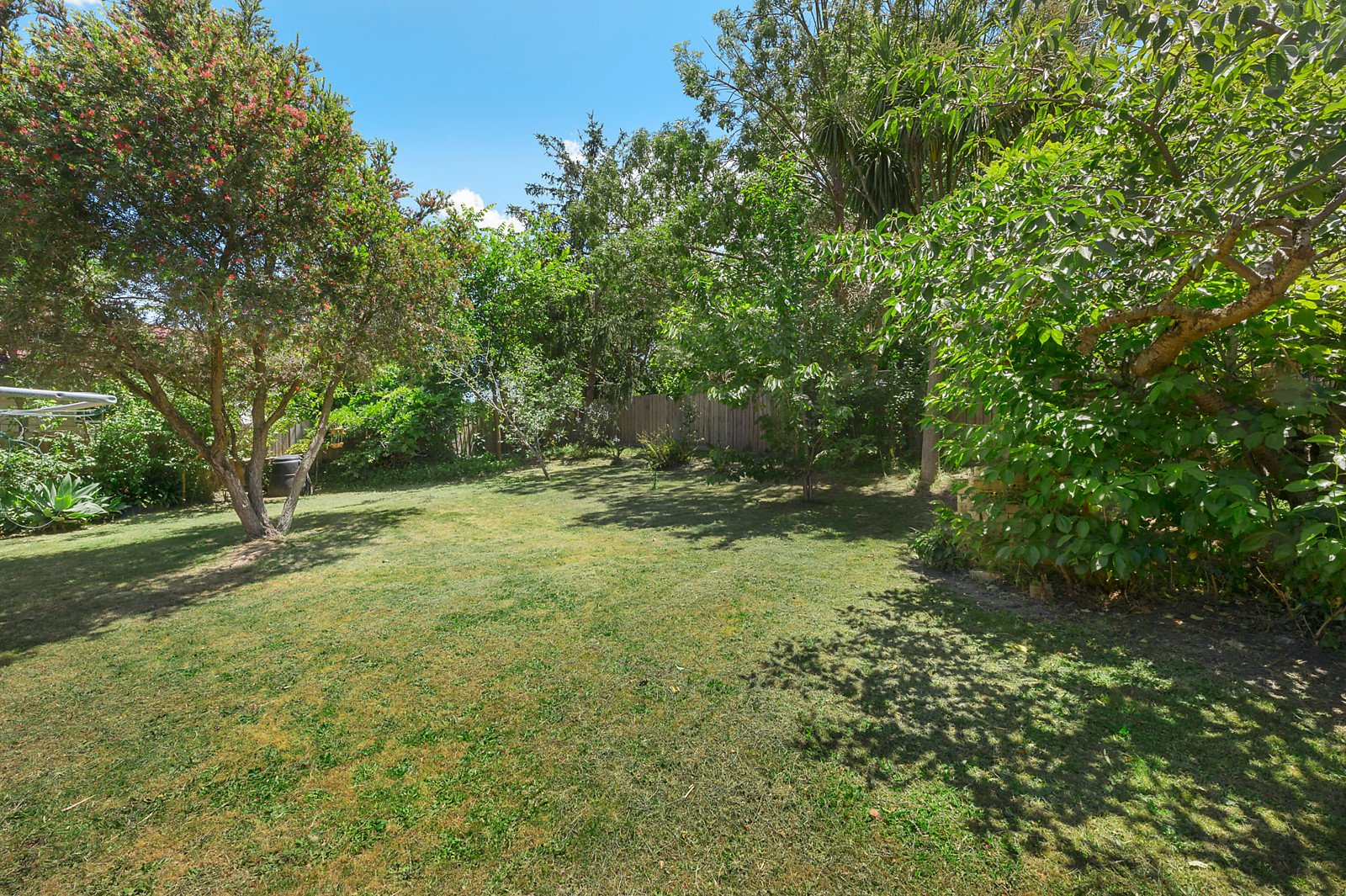 7 William Street, Donvale image 6