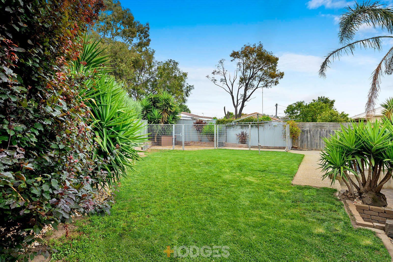 7 Wyong Court Grovedale