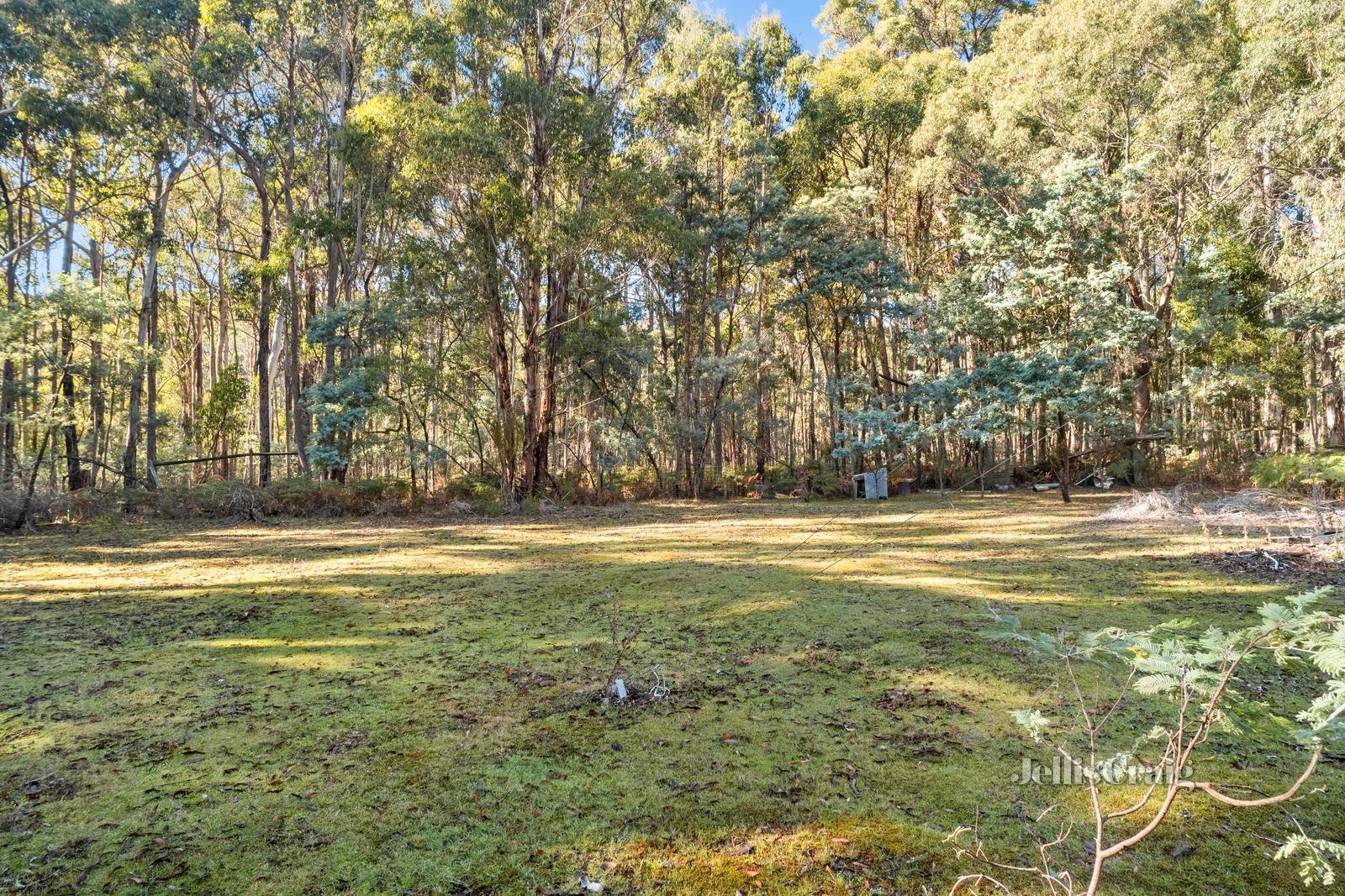 70 Manna Gum Road, Sailors Falls image 1