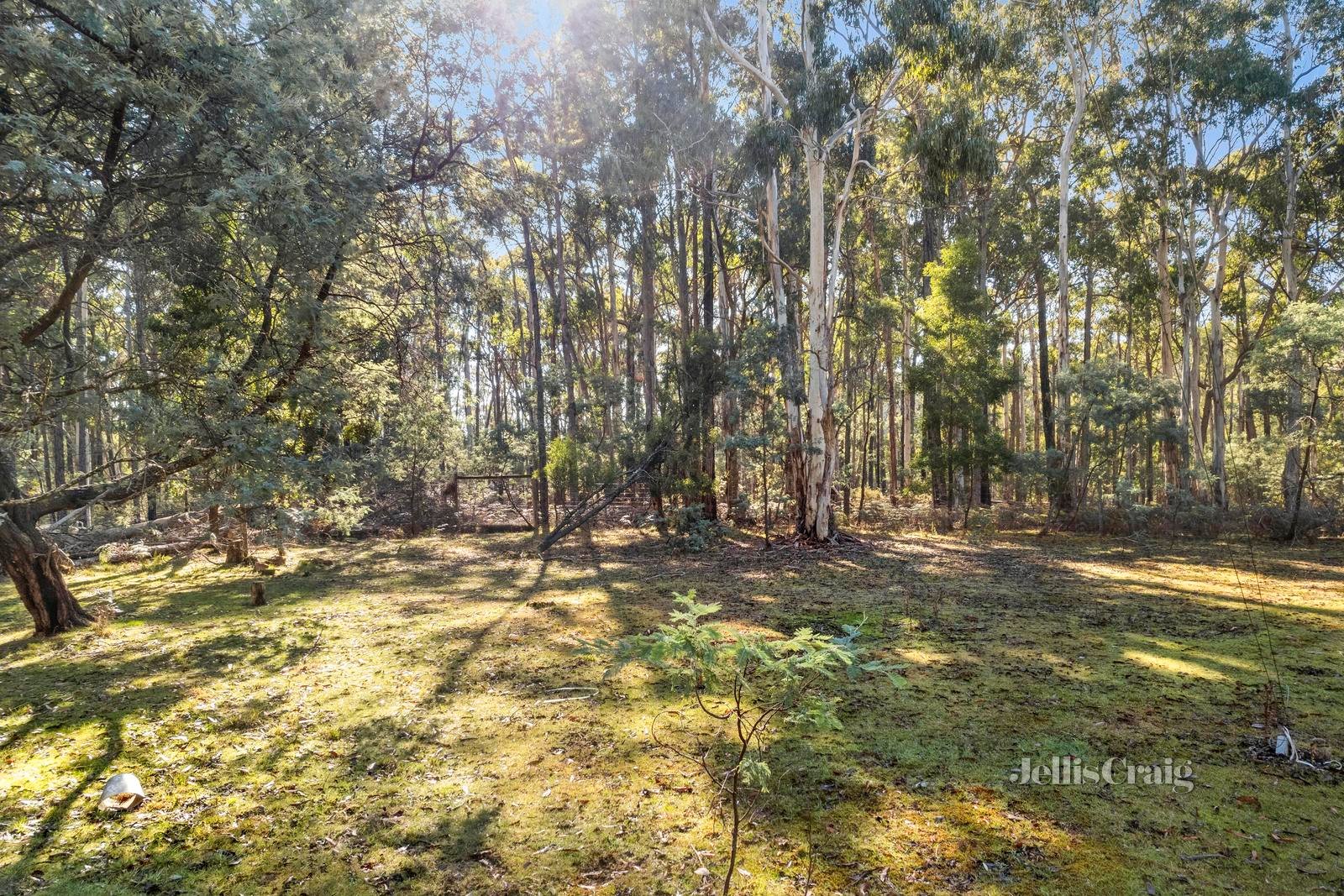 70 Manna Gum Road, Sailors Falls image 2