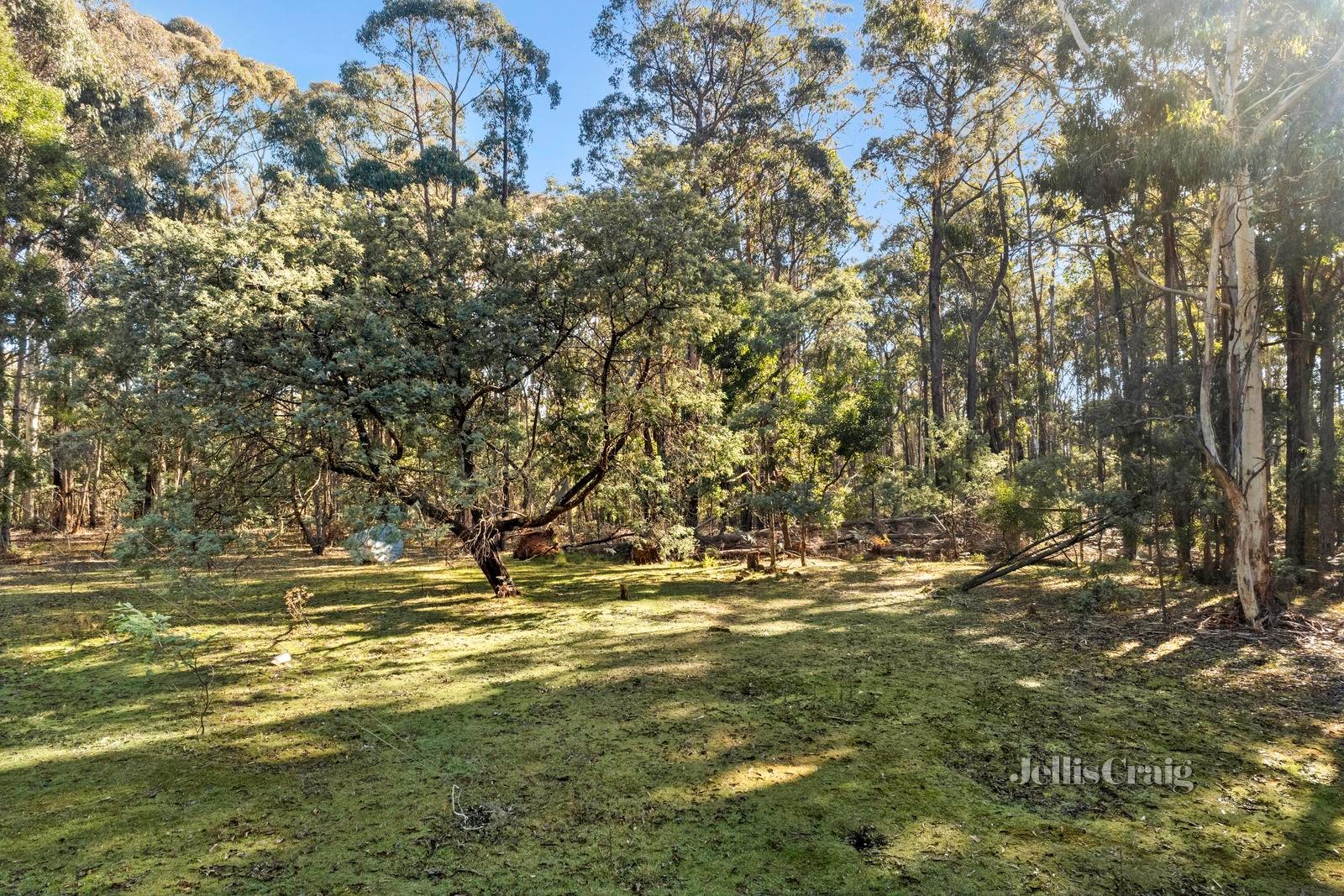 70 Manna Gum Road, Sailors Falls image 3