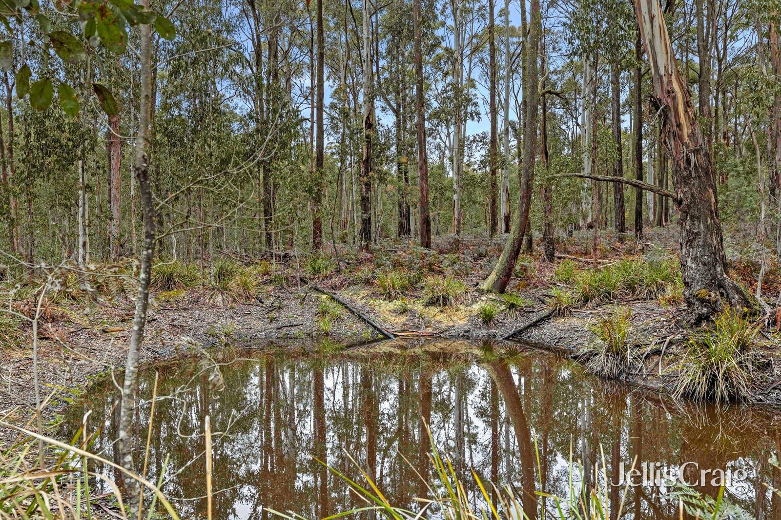 70 Manna Gum Road, Sailors&nbsp;Falls image 15