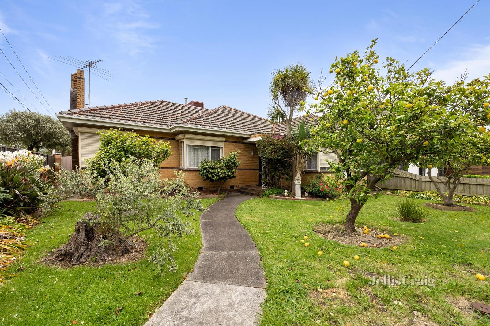 709 Warrigal Road, Bentleigh East image 1