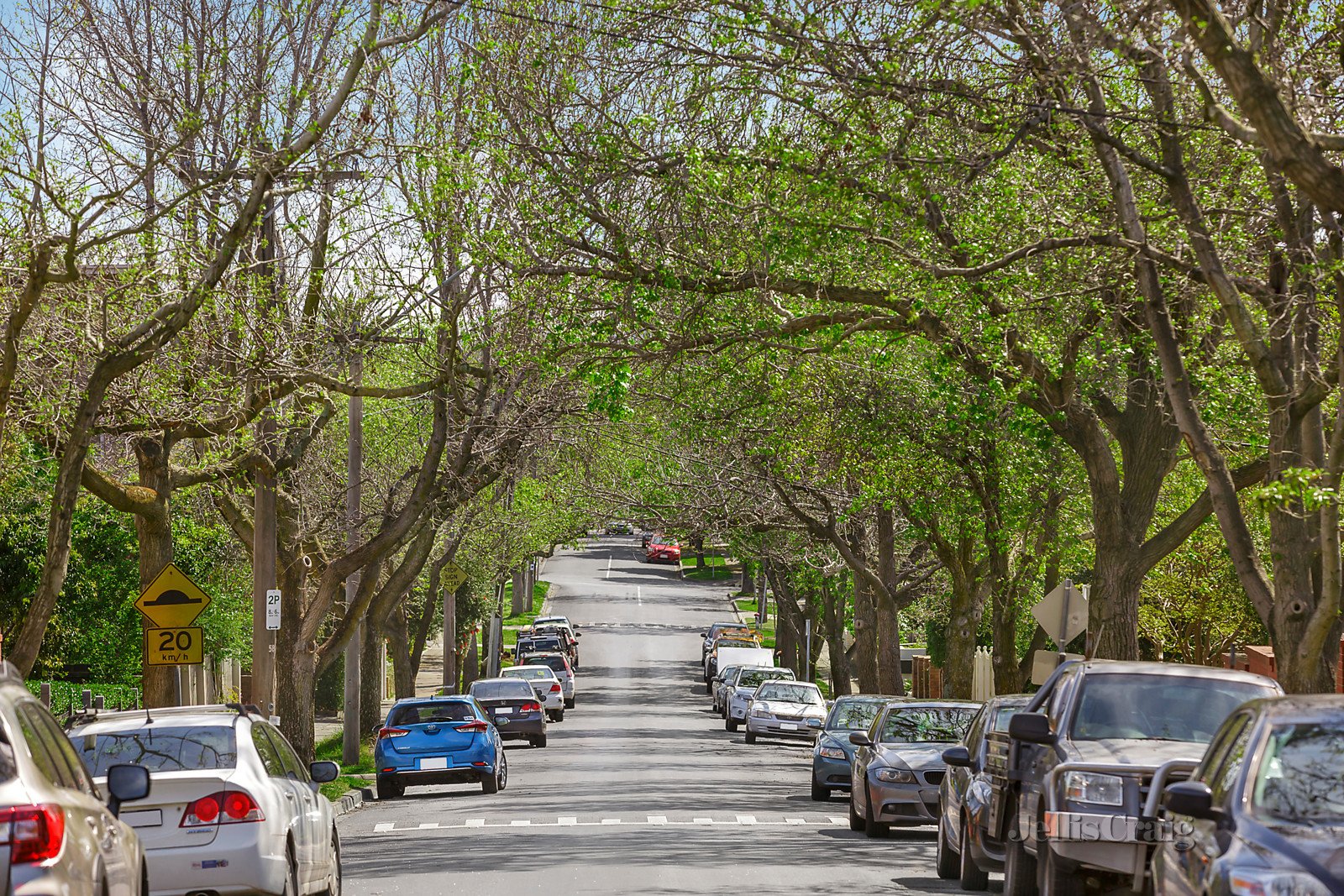 71 Leura Grove, Hawthorn East image 3