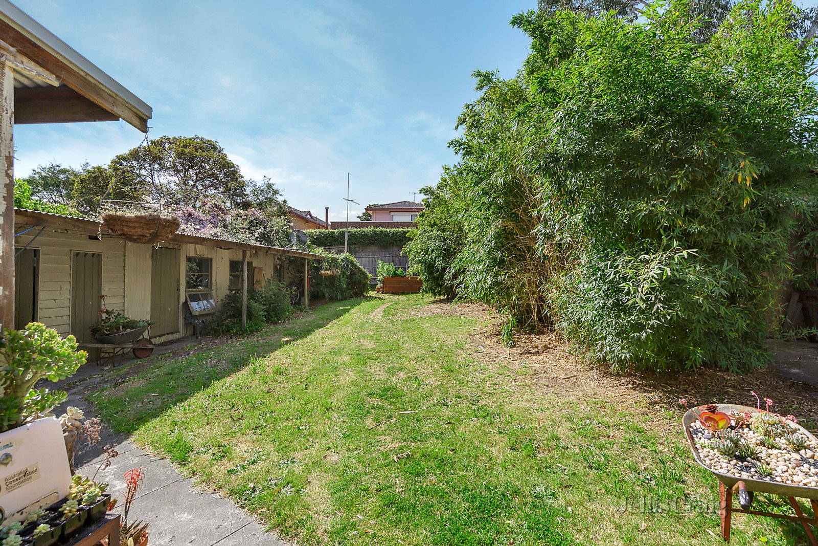 71 Leura Grove, Hawthorn East image 4