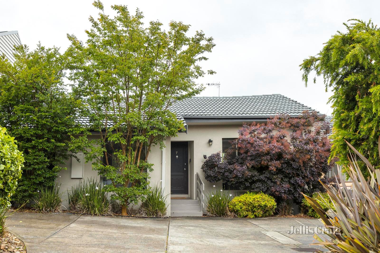 7/13-15 Maling Road, Canterbury image 1