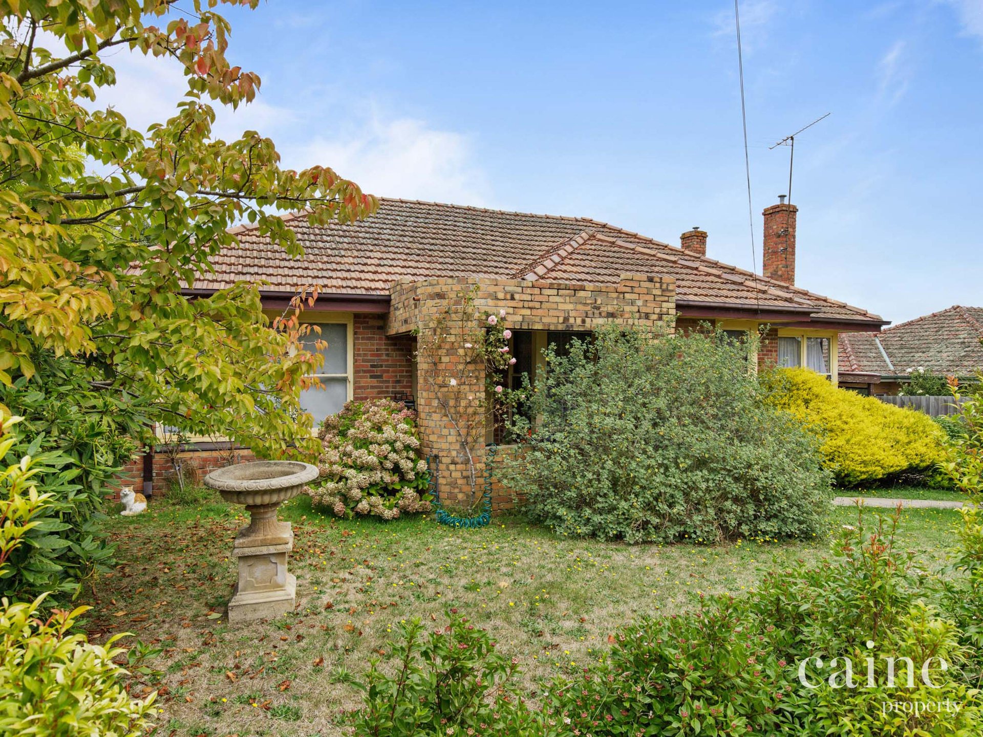 72 Albert Street, Daylesford image 16