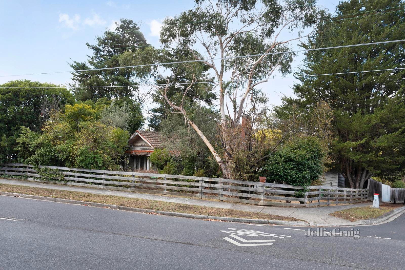 72 Mountain View Road, Montmorency image 3