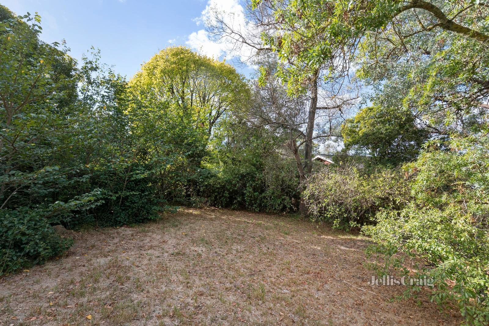 72 Mountain View Road, Montmorency image 7