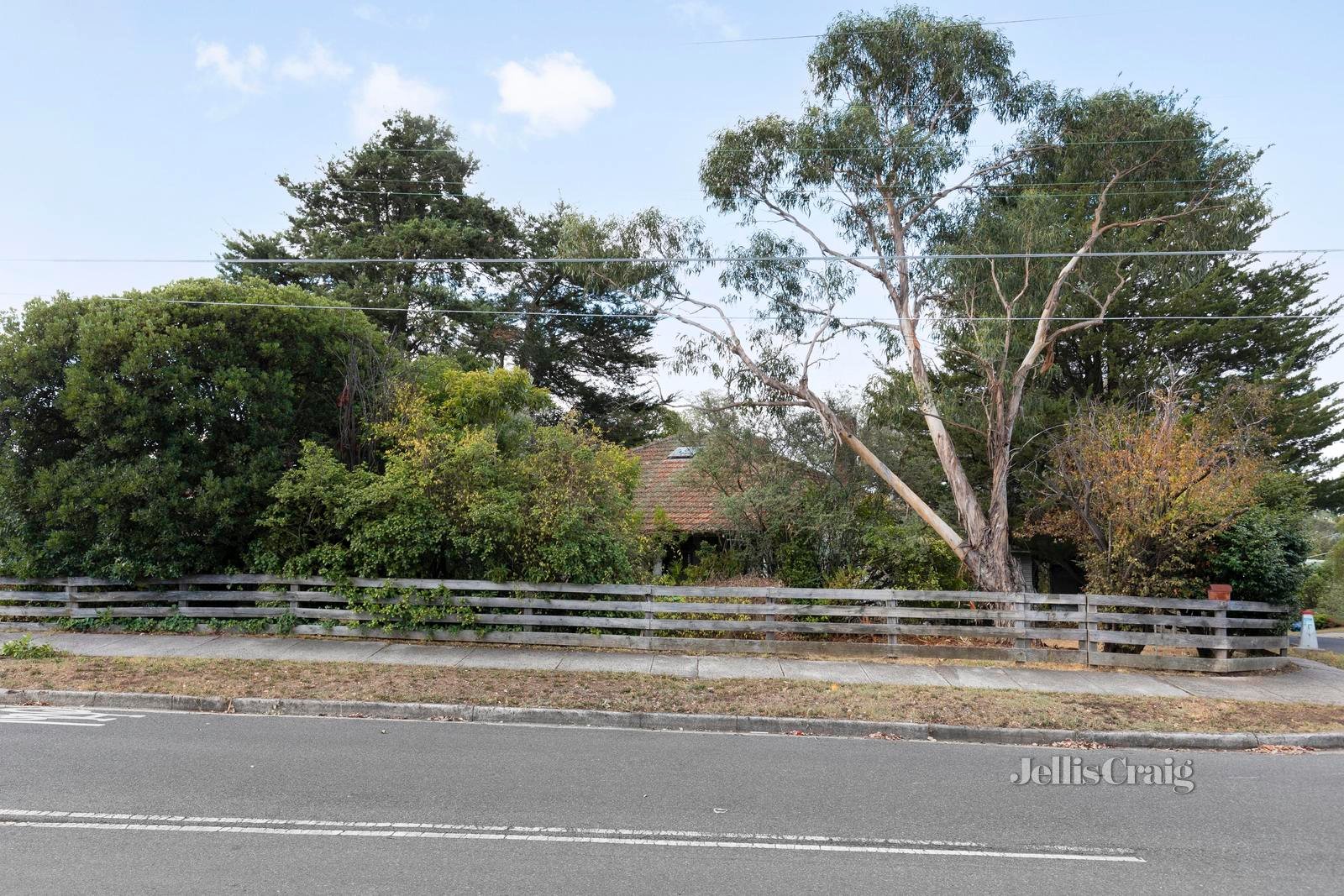 72 Mountain View Road, Montmorency image 9