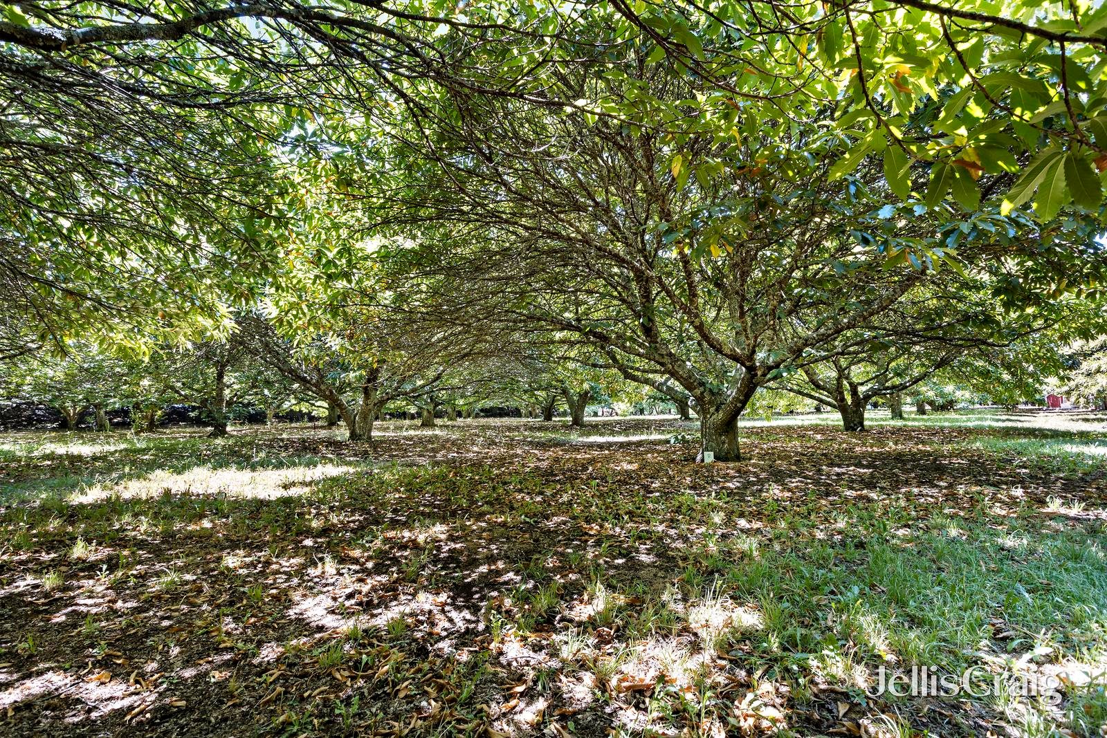 7/23 Collins Road, Glenlyon image 4