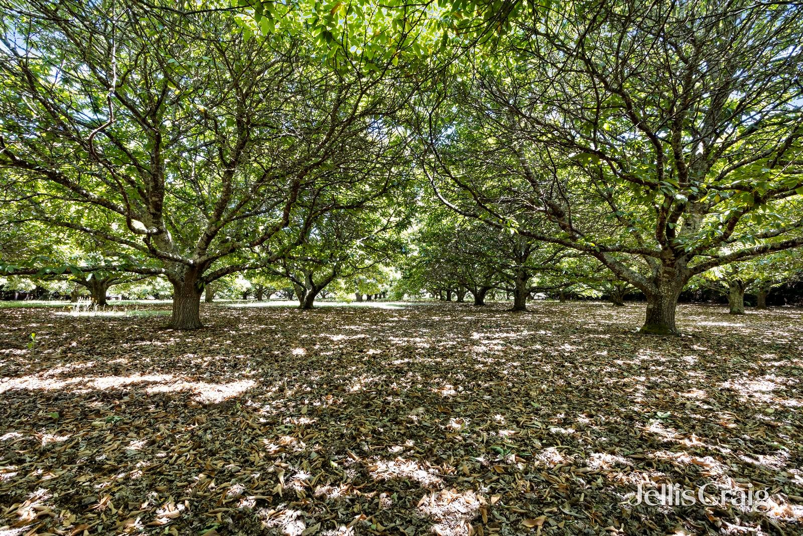 7/23 Collins Road, Glenlyon image 5