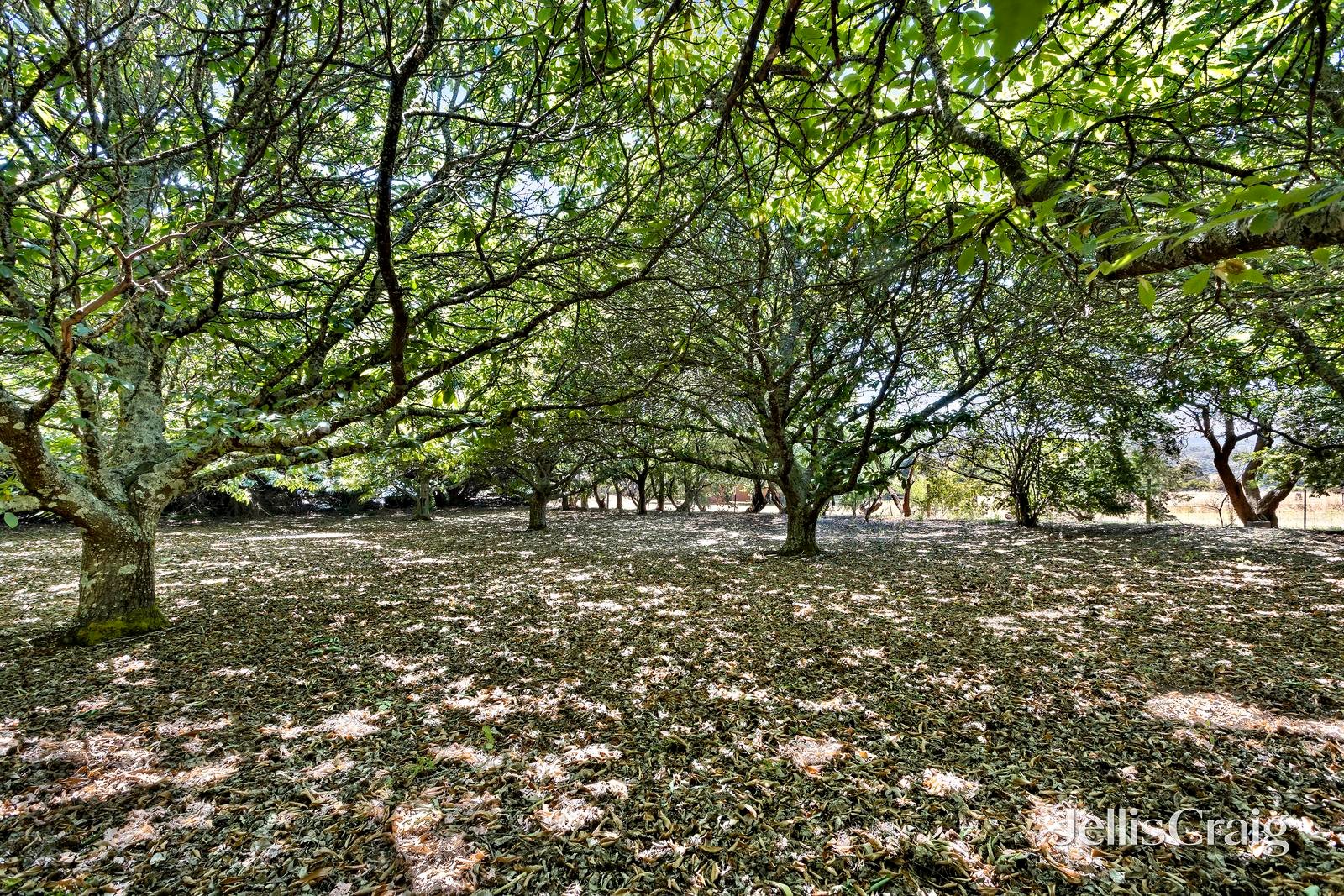 7/23 Collins Road, Glenlyon image 7