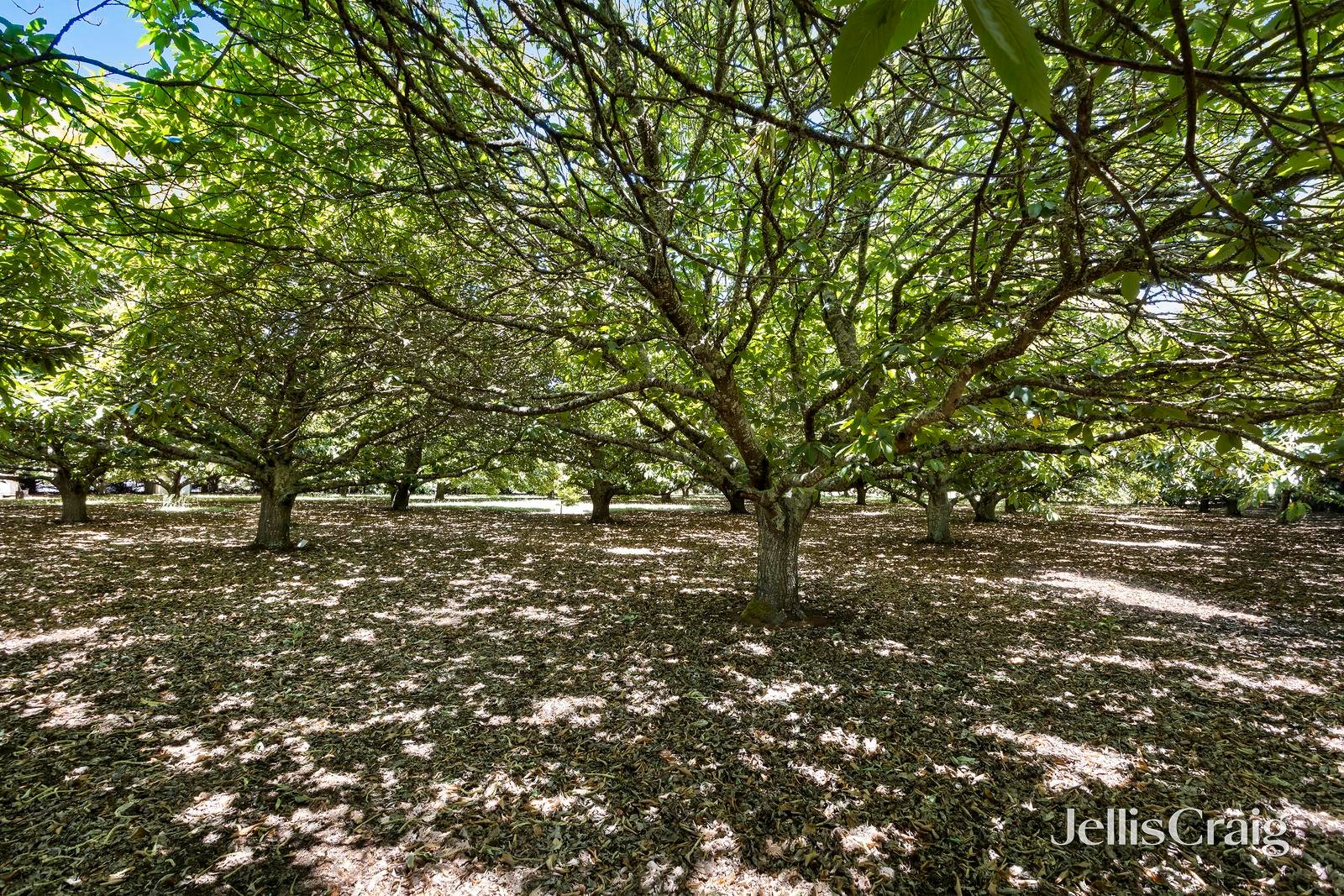 7/23 Collins Road, Glenlyon image 8