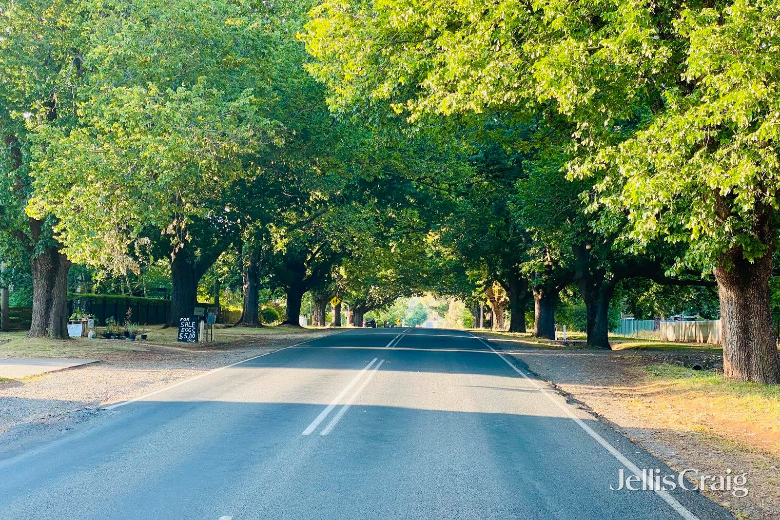 7/23 Collins Road, Glenlyon image 10