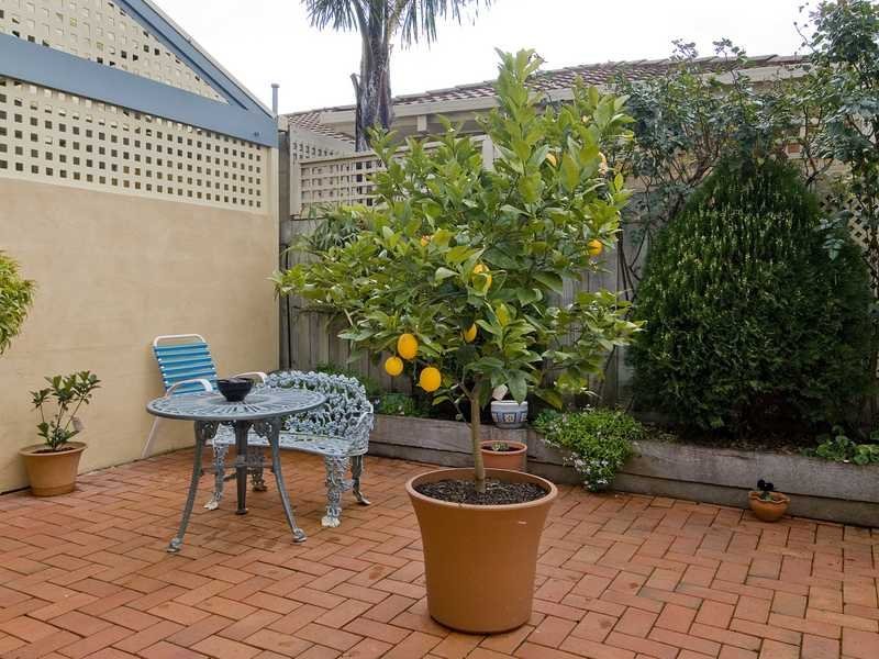 73 Glastonbury Drive, Highton image 10