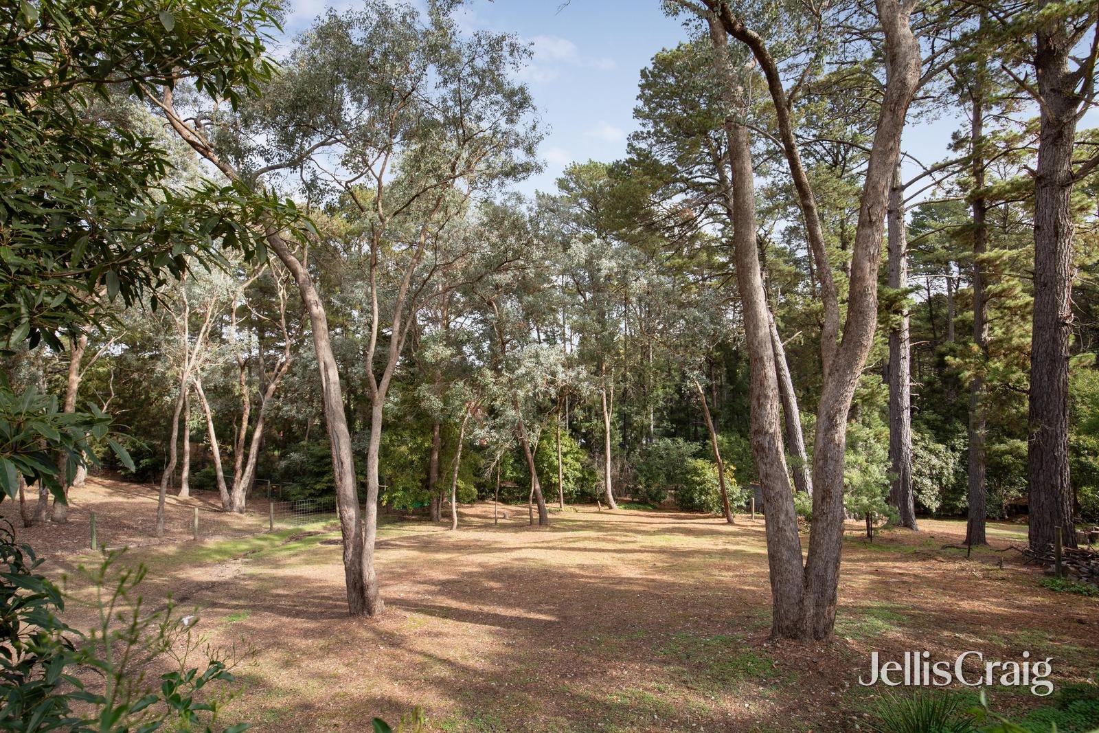 73 Ingrams Road, Research image 30