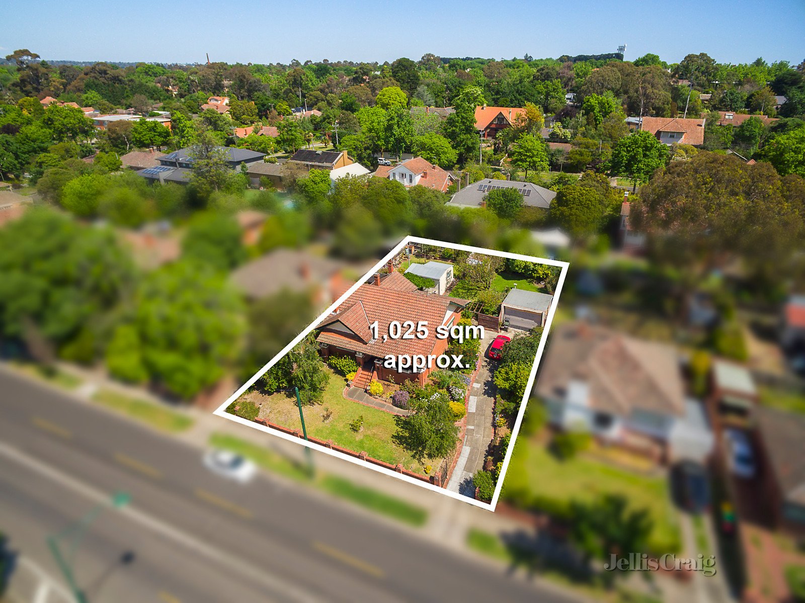 734 Whitehorse Road, Mont Albert image 7