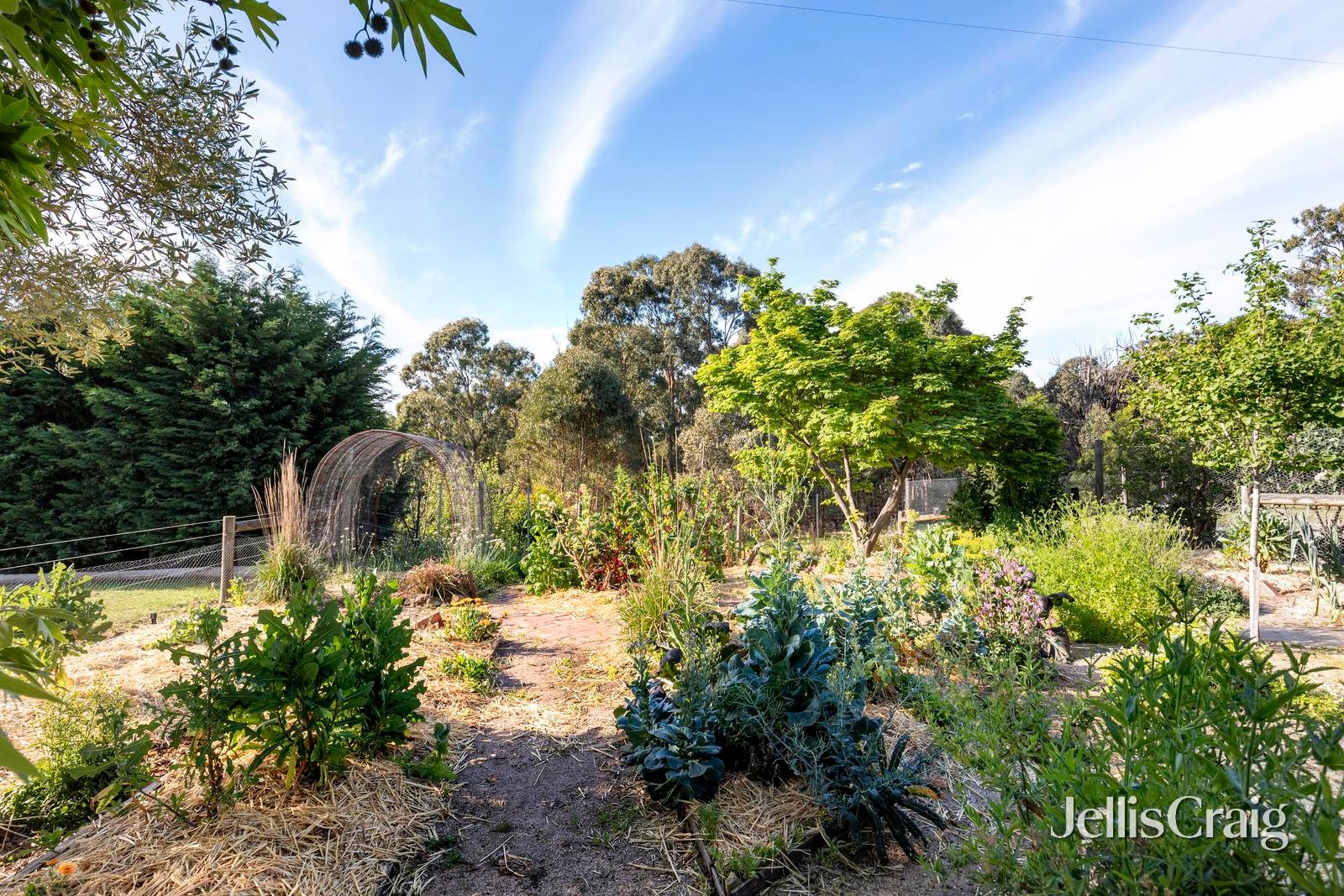 74 Meander Road, Hurstbridge image 25